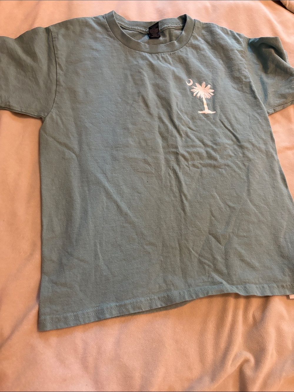 Kids Short Sleeve Tee with Palm Tree Graphic - Sage Green